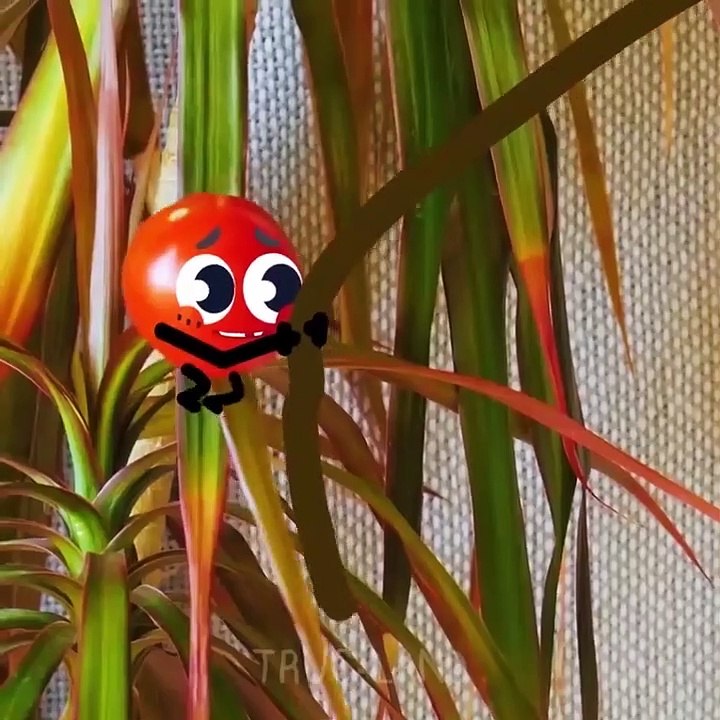 La vie réelle des légumes mystérieux - TRUC-LAND