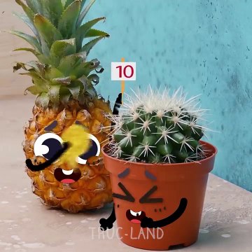 Nos fruits et légumes préférés essaient de savoir qui est le meilleur d'entre eux - Truc-Land