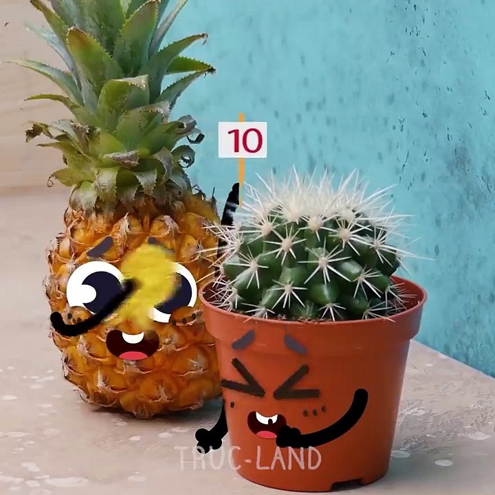 Nos fruits et légumes préférés essaient de savoir qui est le meilleur d'entre eux - Truc-Land