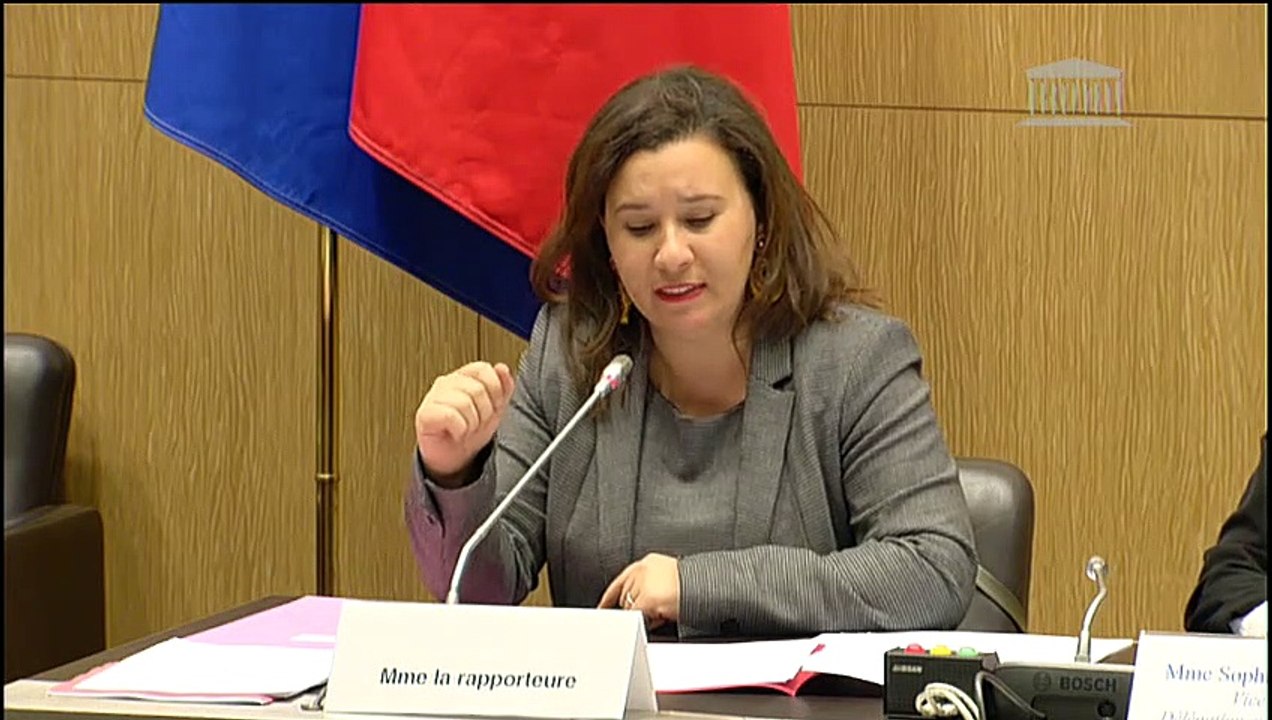 Délégation aux droits des femmes : Projet de résolution relative aux féminicides - Mardi 18 février 2020