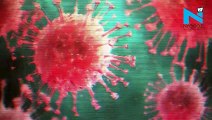 Coronavirus outbreak- Death toll in China reaches 2,000
