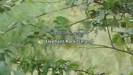 The Mysterious Natural Elephant Rock, Iceland