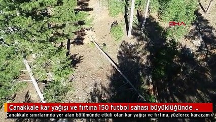 Çanakkale kar yağışı ve fırtına 150 futbol sahası büyüklüğünde ormanı yok etti