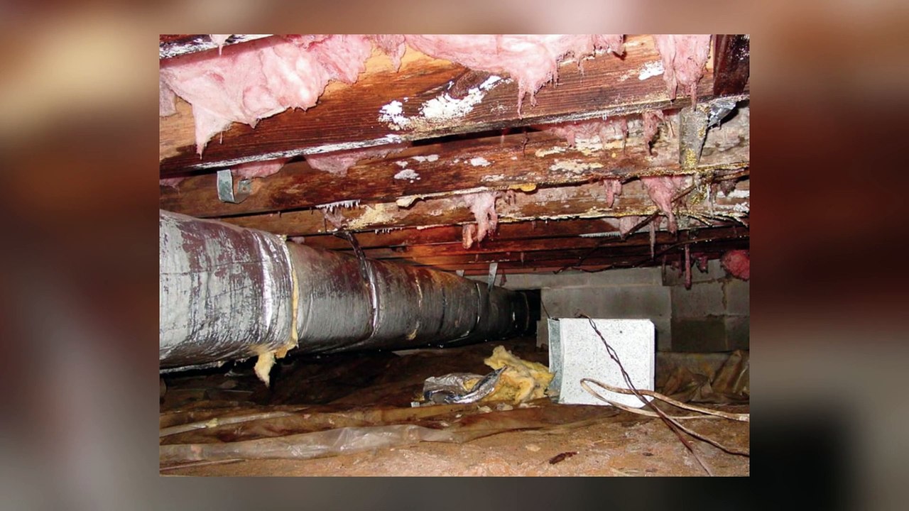 Top 10 Scary Basements That Actually Exist - Part 2