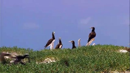 एचडीएफसी बैंक अगले 6 महीनों में लगाएगा 1000 ग्रामीण लोन मेले