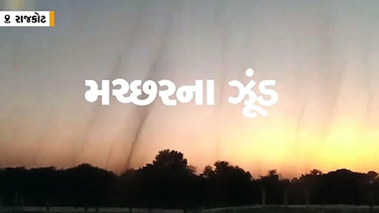 રાજકોટ બેડી માર્કેટ યાર્ડમાં સતત ત્રીજા દિવસે હ...