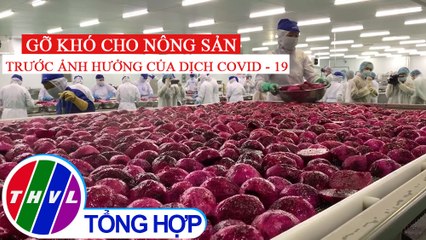 Chuyên đề kinh tế: Gỡ khó cho nông sản trước ảnh hưởng của dịch COVID - 19