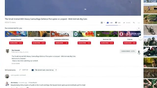 Thumbnail