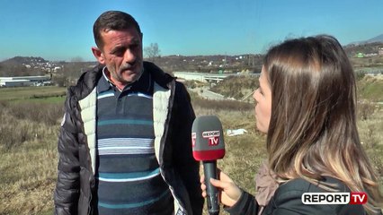 Report TV - 80 bagëti të ngordhura në Bërzhitë/ Fermeri: Nuk ishin të sëmura