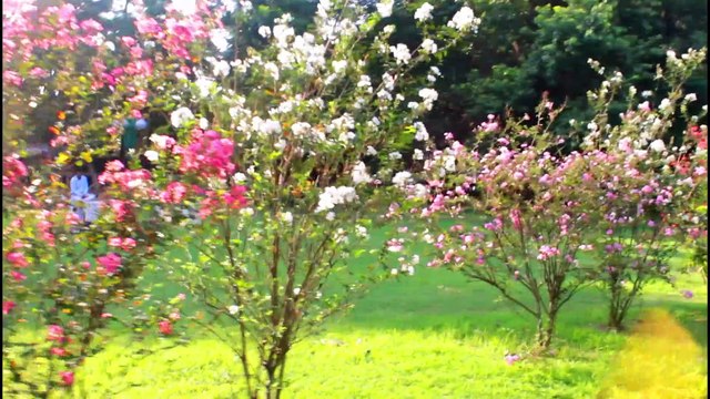 Pricep ghat is the best place for chilling out | you can hangout with your friends |vlog |