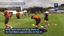 Kiwis sweat on net ahead of 1st Test Match against India
