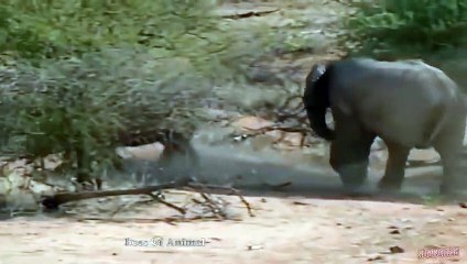 홍성출장서비스 홍성출장서비스O1OE2104E4640｛카톡YOK88｝ 홍성출장마사지샵 홍성출장안마on홍성출장안마cos여3♪⇔∃마사지황형♥◨≪