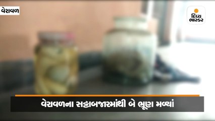 વેરાવળમાં સટ્ટા બજારમાં કાચની બે બરણીમાં બે સ્ત્રી ભ્રુણ મળ્યા