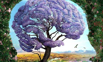 Le 1er détail que vous verrez sur cette image révèle des secrets sur votre personnalité