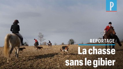 «Le Drag»,  la chasse à courre sans tuer de gibier