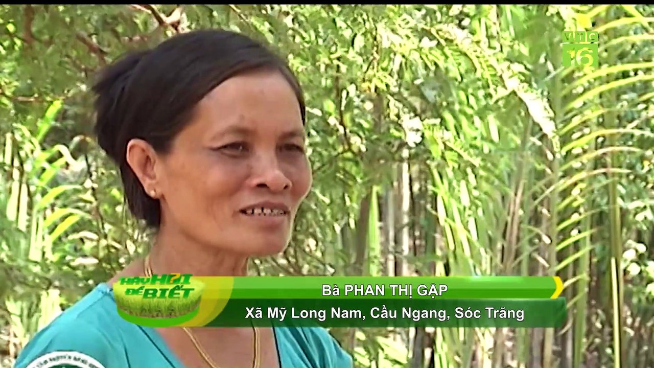Hãy hỏi để biết -19/02/2020