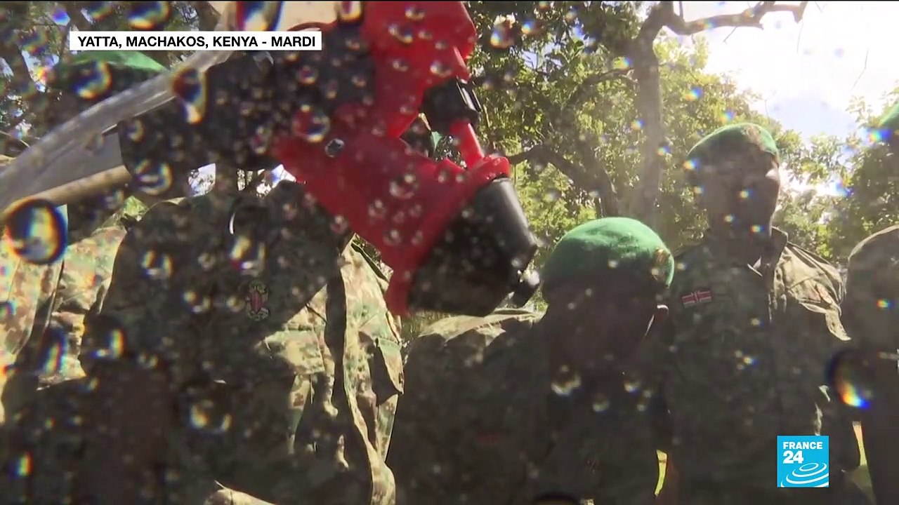 Une invasion de criquets en Afrique de l'Est menace sa sécurité alimentaire