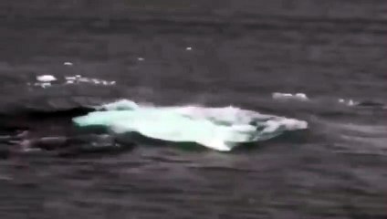 목포출장서비스 목포출장서비스O1Og2154g6609｛카톡VPN58｝ 목포출장마사지샵 목포출장안마on목포출장안마cos여3♪⇔∃마사지황형♥◘≪