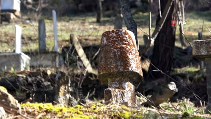 Selçuklulardan kalan türbe zamana meydan okuyor
