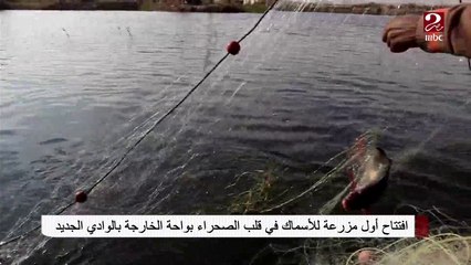 #صباحك_مصري| افتتاح أول مزرعة للأسماك في قلب الصحراء بواحة الخارجة بالوادي الجديد