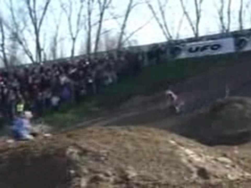Mantova20086