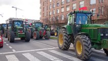 'Tractorada' en Pamplona para defender el sector