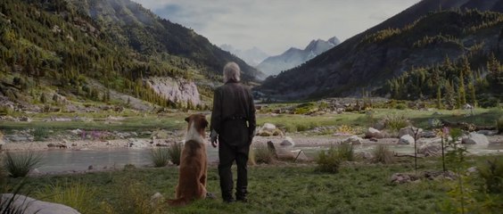 L'Appel de la Forêt _ Bande Annonce 2020