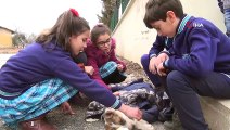 Yaralı köpeğin altına örtü serip üstüne mont örttüler