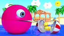 Learn Colors With Animal - Learn Colors with PACMAN as eat Fish and Soccer Ball on the Sea and slides down a magic slide