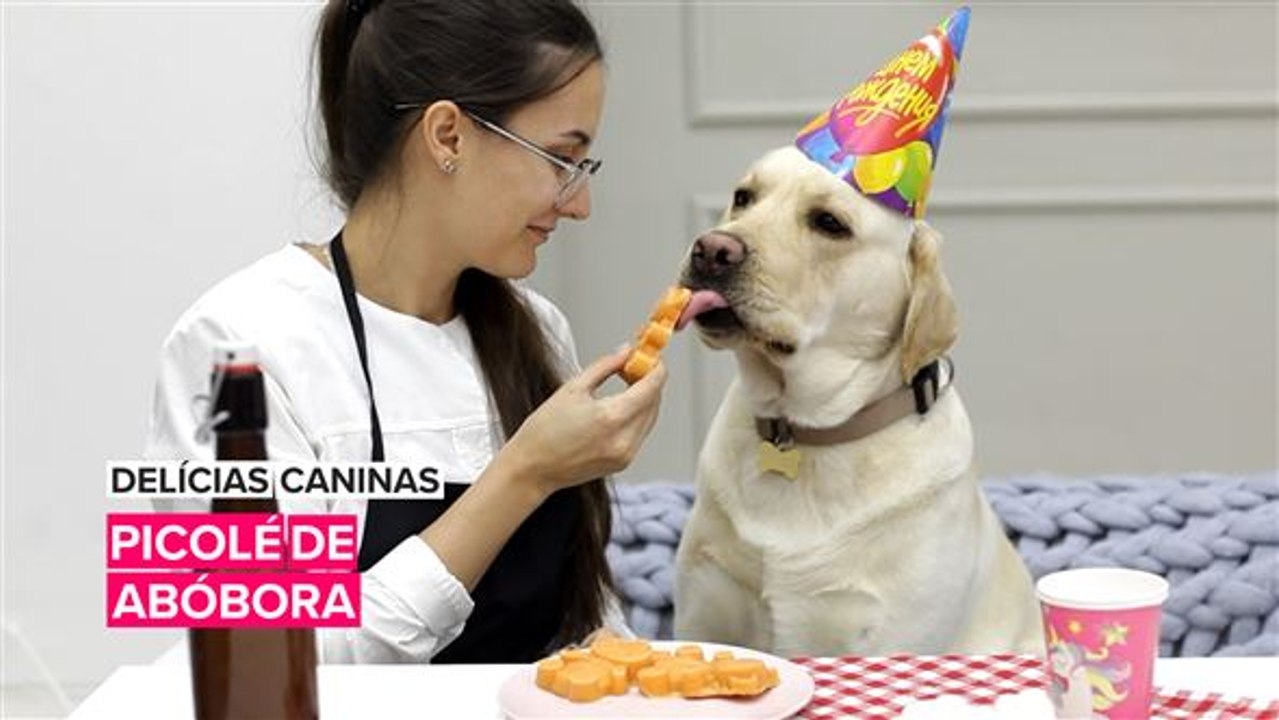 Delícias Caninas: Picolé de abóbora