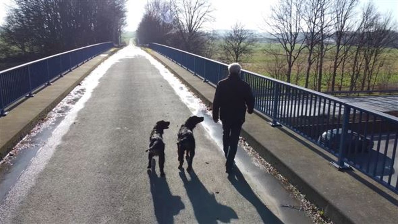 Held der Straße 2019 – mit einer spektakulären Aktion rettet Herbert Hertwig einem LKW-Fahrer das Leben