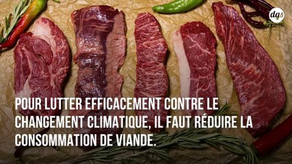 L'Europe veut taxer la viande pour lutter contre le changement climatique