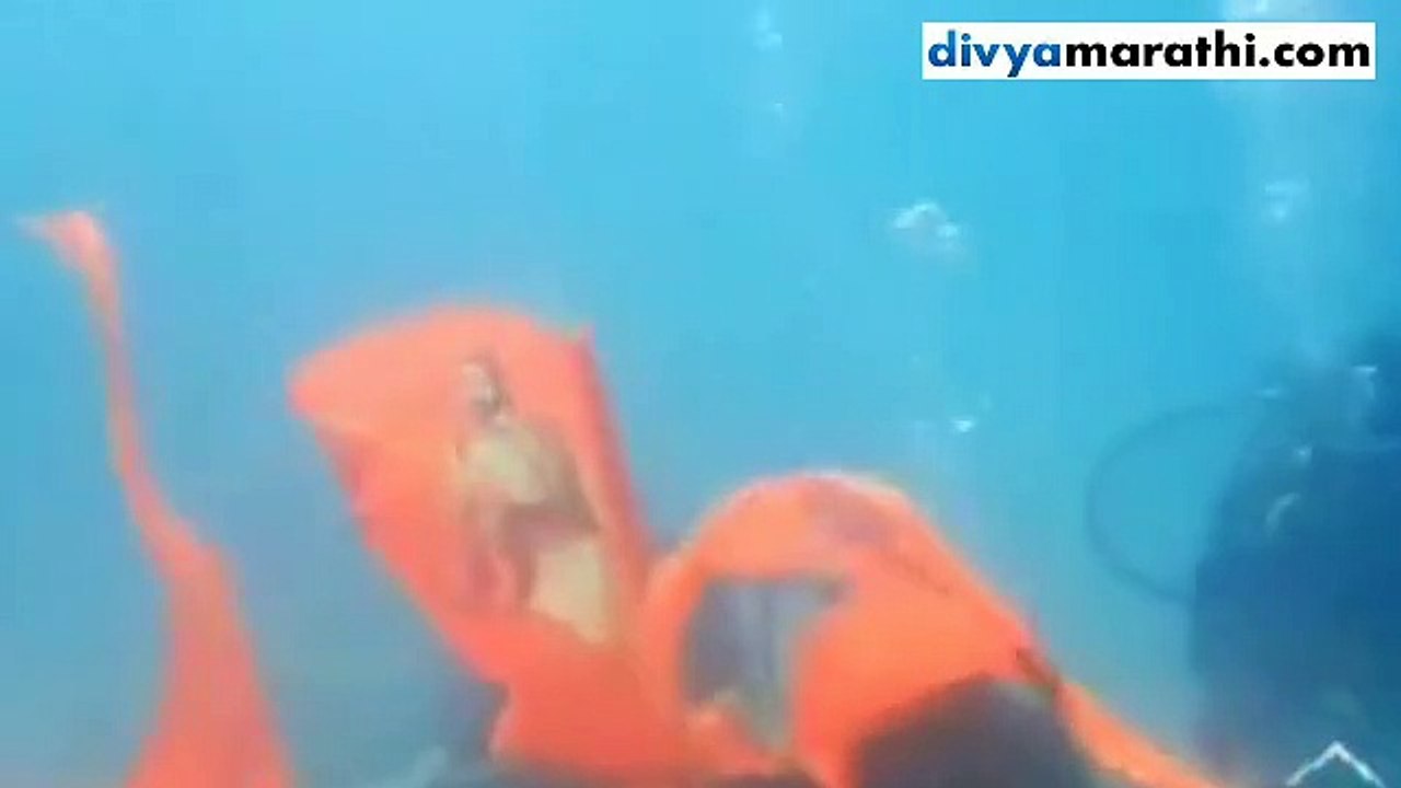 अंदमानातील स्वराज द्विप येथे शिवजयंती साजरी, समुद्रात 150 फूट खोल पाण्याखाली फडकला भगवा झेंडा