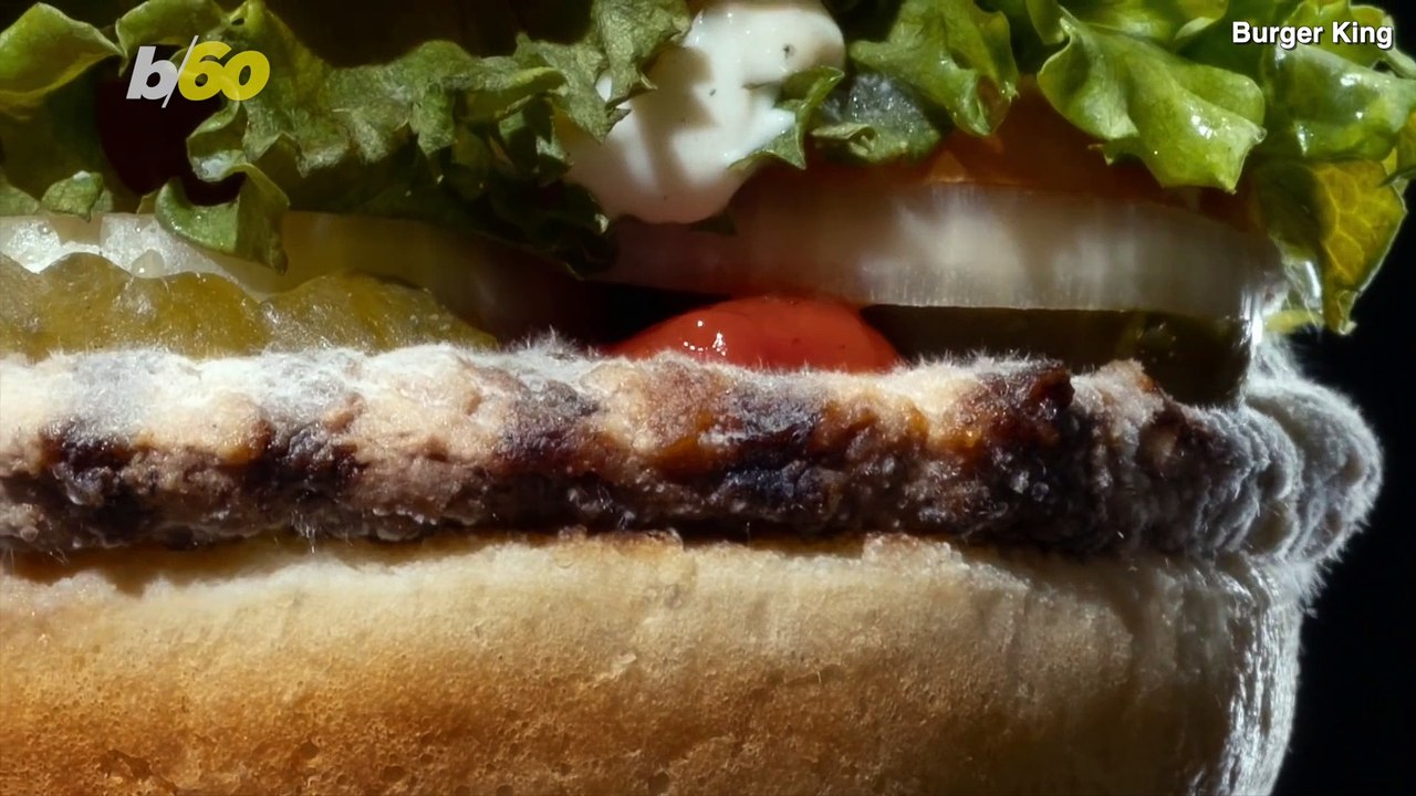 The Mold & the Beautiful! Burger King Releases Ad Showcasing ‘Beautiful’ Moldy Whopper