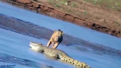 강릉출장서비스 강릉출장서비스O1OE6579E3382｛카톡VS67｝ 강릉출장마사지샵 강릉출장안마on강릉출장안마cos여3♪⇔∃마사지황형♥∱≪