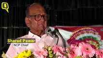 'Trust For Ram Mandir, Why Not For the Mosque?': Sharad Pawar