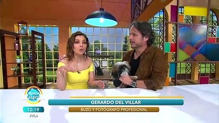 Descubre al lado de Gerardo del Villar los tiburones tigres de arena. | Venga La Alegría