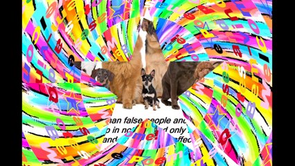 I prefer to love animals, than false people, an animal treats you well! [Quotes and Poems]