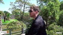 Michael Bublé Performs Live For Gorillas And Here's How They Reacted