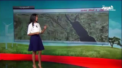 مذيعة العربية تسقط أرضاً خلال تقديم النشرة الجوية