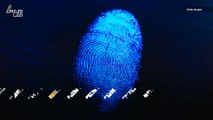 Chemists May Have Solved a Forensic Mystery, How to Date Fingerprints
