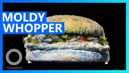 Burger King uses moldy Whopper to promote its signature product