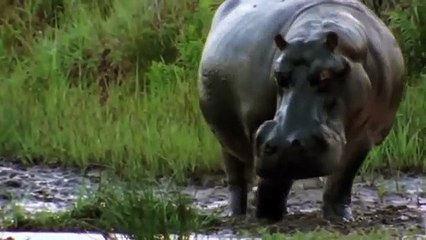 안산출장서비스 안산출장서비스O1Og4832g2166｛카톡QQ565｝ 안산출장마사지샵 안산출장안마on안산출장안마cos여3♪⇔∃마사지황형♥≗≪