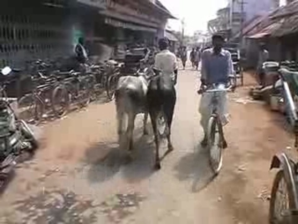 Vivre en Inde du sud 2
