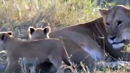 하당출장서비스 하당출장서비스O1OE6683E6402｛카톡GOO56｝ 하당출장마사지샵 하당출장안마on하당출장안마cos여3♪⇔∃마사지황형♥≓≪