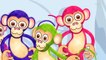 Five Little Monkeys _ kids songs _ nursery rhymes _ kids tv _ kids tv songs _ 5 lil monkeys ( 480 X 480 )