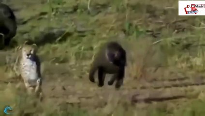 문막출장서비스 문막출장서비스O1Og2143g9131｛카톡VAS66｝ 문막출장마사지샵 문막출장안마on문막출장안마cos여3♪⇔∃마사지황형♥⊈≪