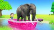 Learn Colors With Animal - Learn Wild Animals Supermarket Shopping Cart Toys For Kids