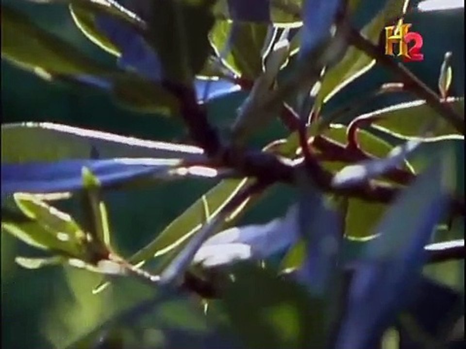 History's Mysteries - The True Story of Rob Roy