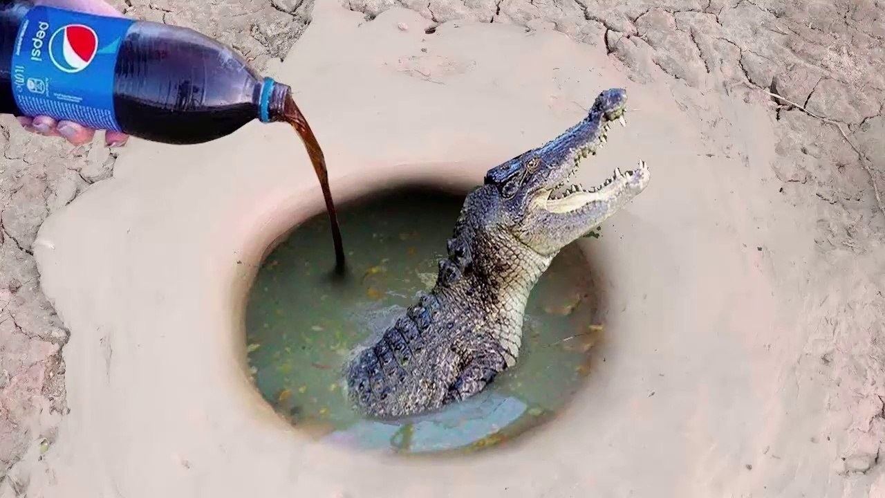 Experiment : Sprite Vs Pepsi Vs Mentos Catch Crocodiles & fishes From Hole